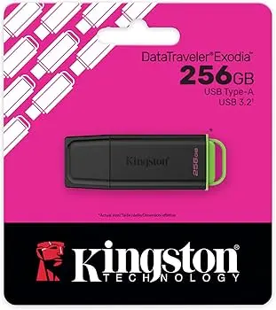 Kingston USB DTXG2 256gb 3.2