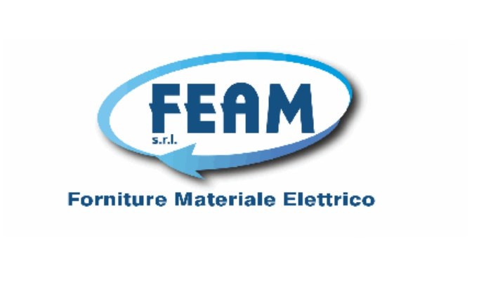 Feam Srl